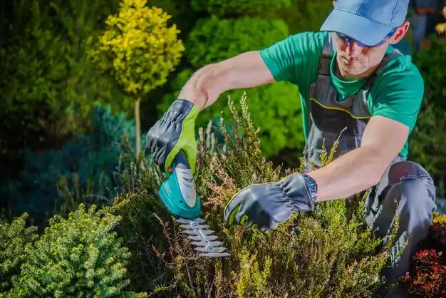 landscaping services Festus
